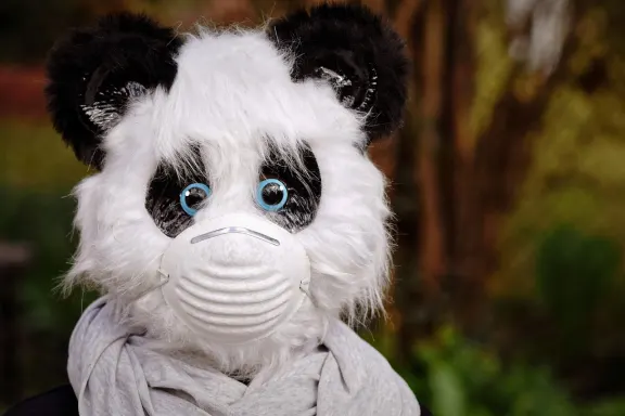 녹스윈 카지노 지원